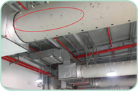 币游·国际(中国)官方网站